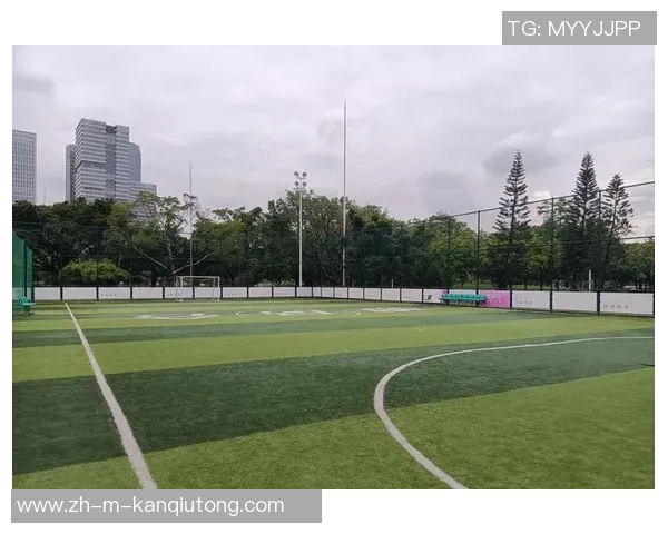 探索日本专业足球场的魅力与发展历程及其对足球文化的影响