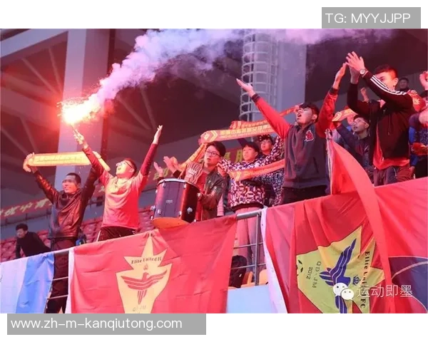 足球看台上的热情与梦想球迷心声与赛事精彩的完美交融